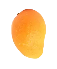 image_not_found
