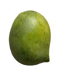 image_not_found