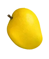 image_not_found